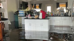 Honeywell Resideo Whole Home Water Alarm and Shut Off System