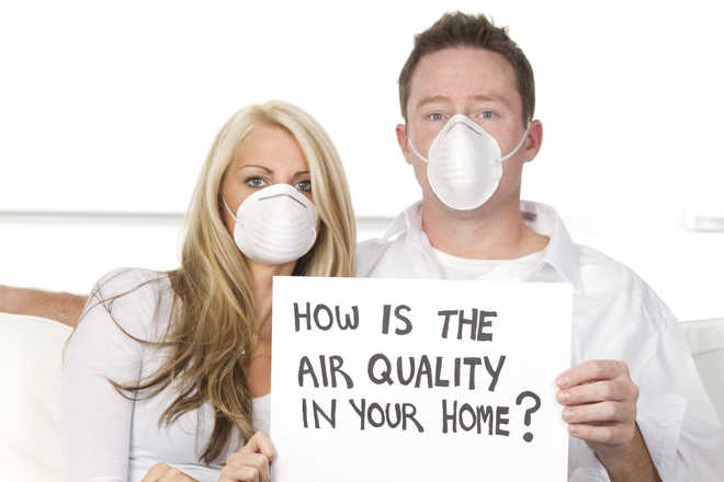 WellnessByHome indoor air quality solutions