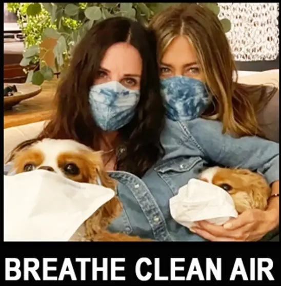 Whole-home air filtration