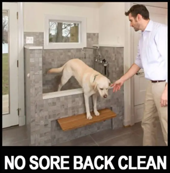 Pawtastic doggy shower