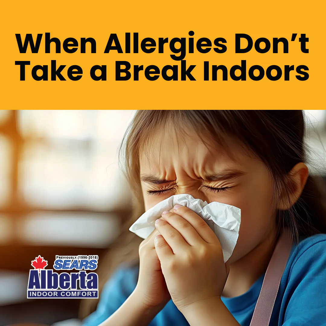 FBIG-IEQ-IAQ Allergies Indoors