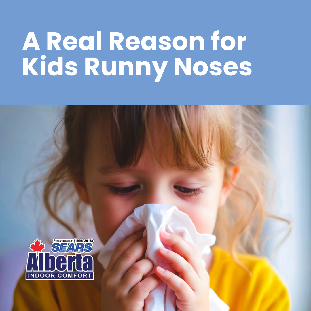 FBIG-IEQ-IAQ Reason for Runny Nose If your child gets congested every night or wakes up sneezing, don’t blame allergies alone. Leaky ducts can pull in attic dust and allergens. Aeroseal duct sealing has helped hundreds of Calgary families eliminate unexpected triggers. Learn more: https://albertaindoorcomfort.com/ieq/ #AirMatters #HealthyHomeYYC #IEQInsights