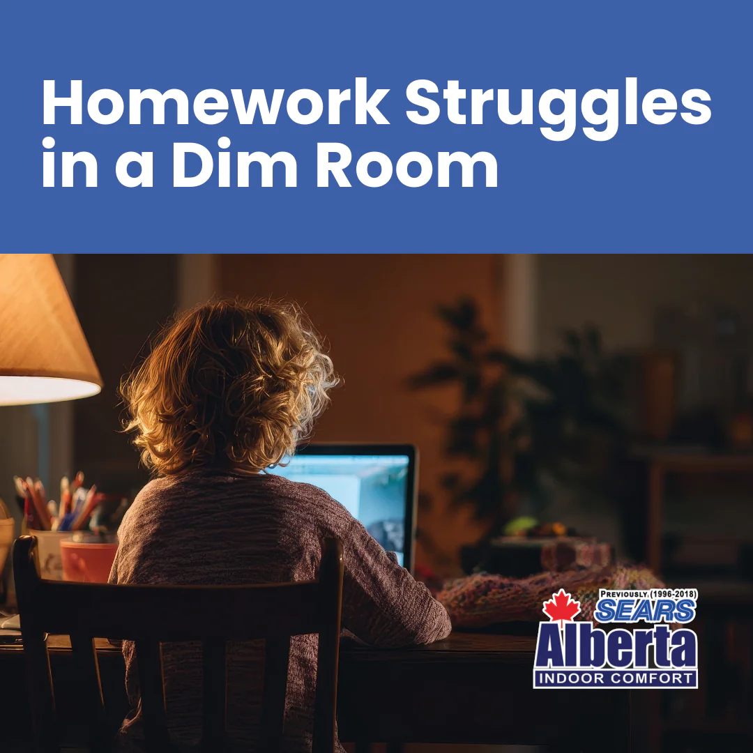 FBIG-IEQ-LGT Homework Struggle