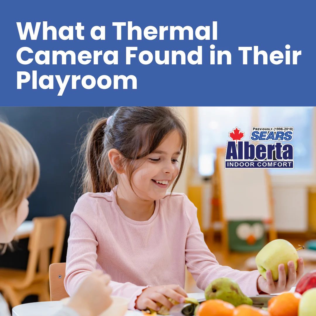 FBIG-IEQ-TEMP Found In Their Playroom