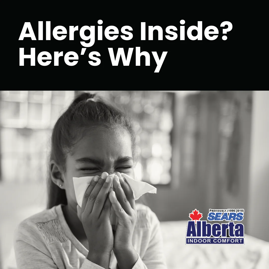 FBIG-IEQKIDS-Allergies Inside