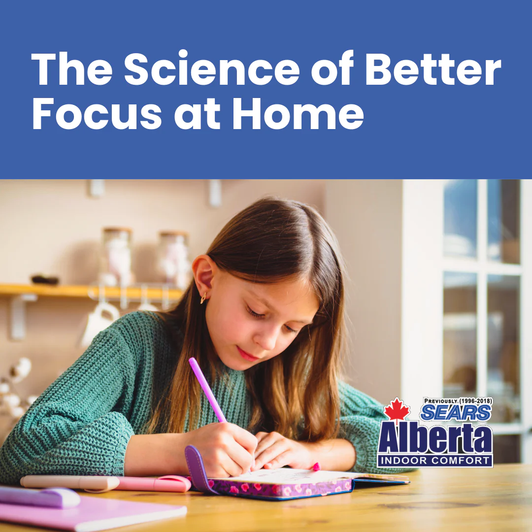 FBIG-IEQKIDS Better Focus