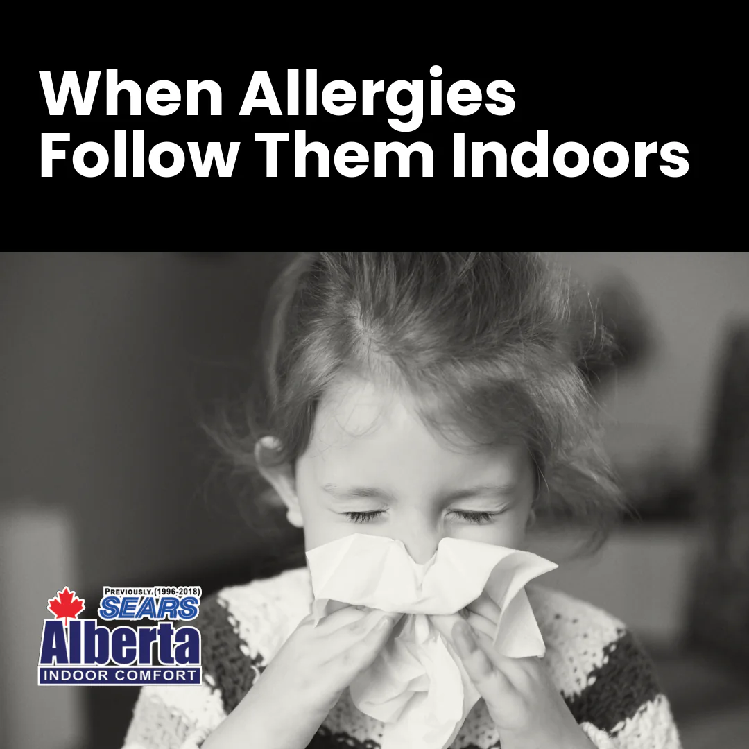 FBIG-IEQKIDS Indoor Allergies