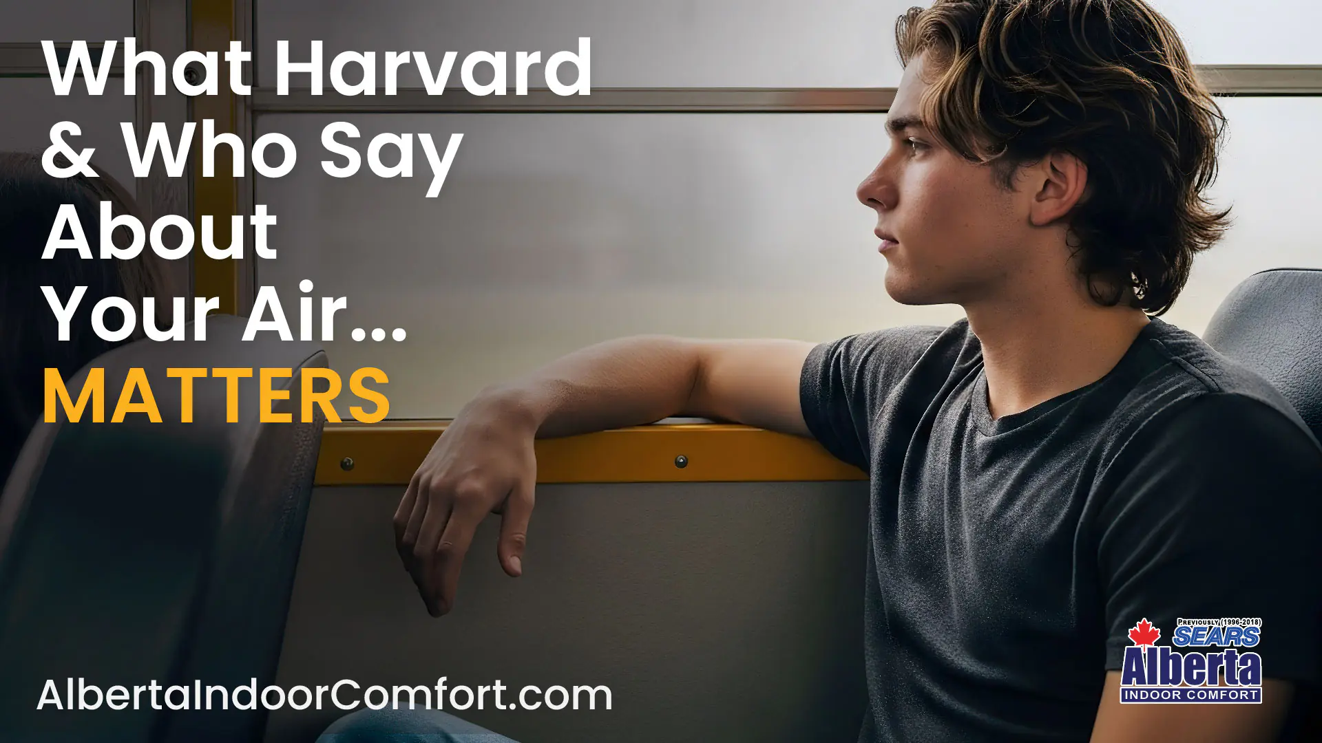 what hardvard and who say about your air matters-01