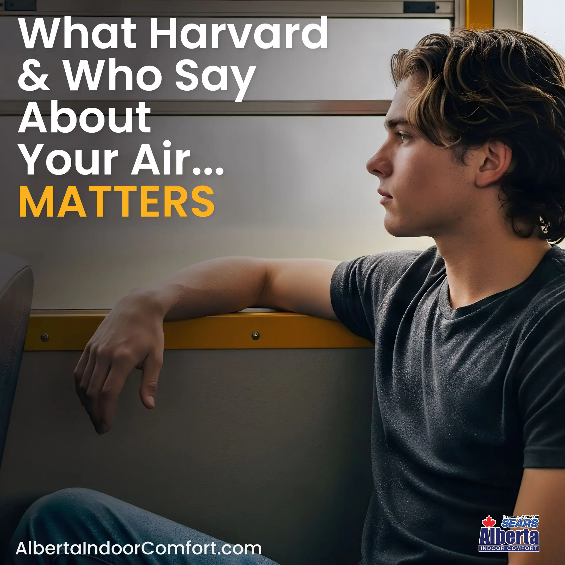 what hardvard and who say about your air matters-02