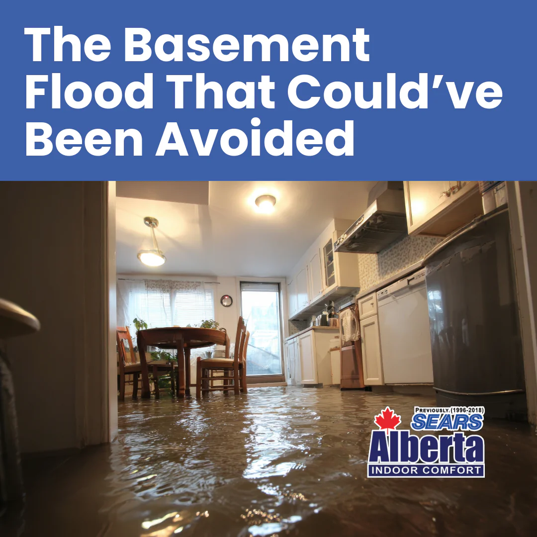 FBIG-TWH The Basement Flood