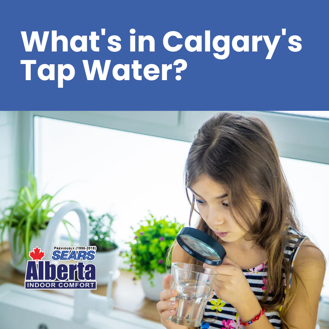 FBIG-WF WH Calgary Tap