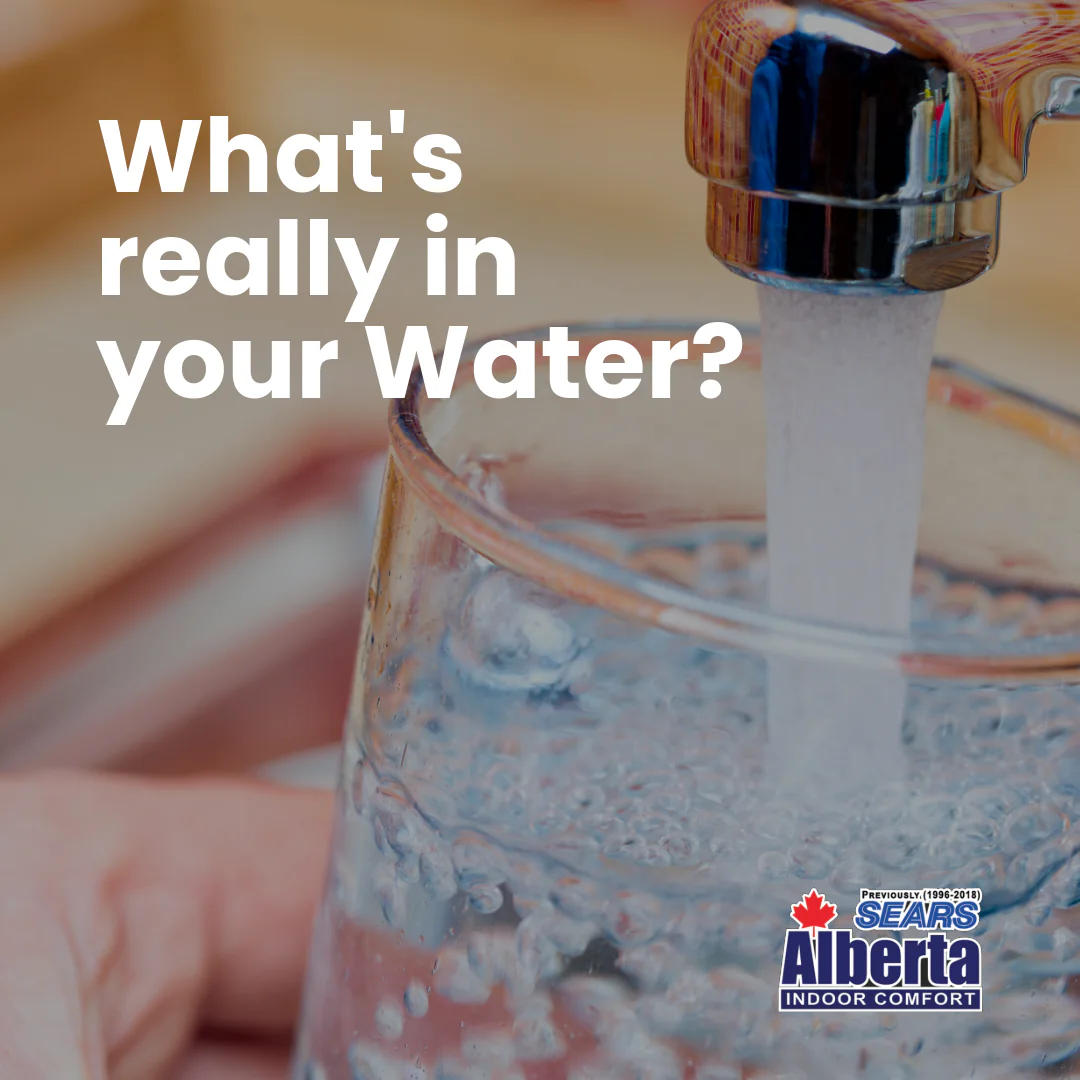 FBIG-WF What is in your Water in Calgary 1