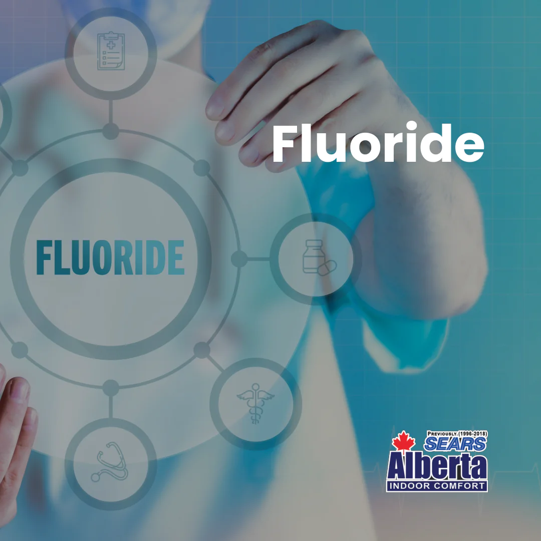 FBIG-WF What is in your Water in Calgary 3