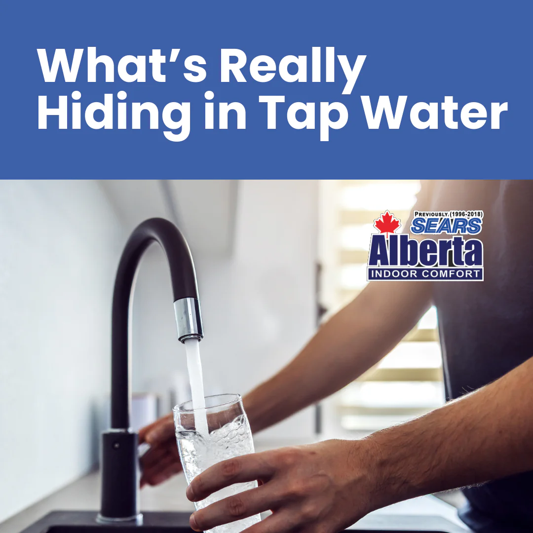 FBIG-WFRO Whats Really Hiding in Tap Water