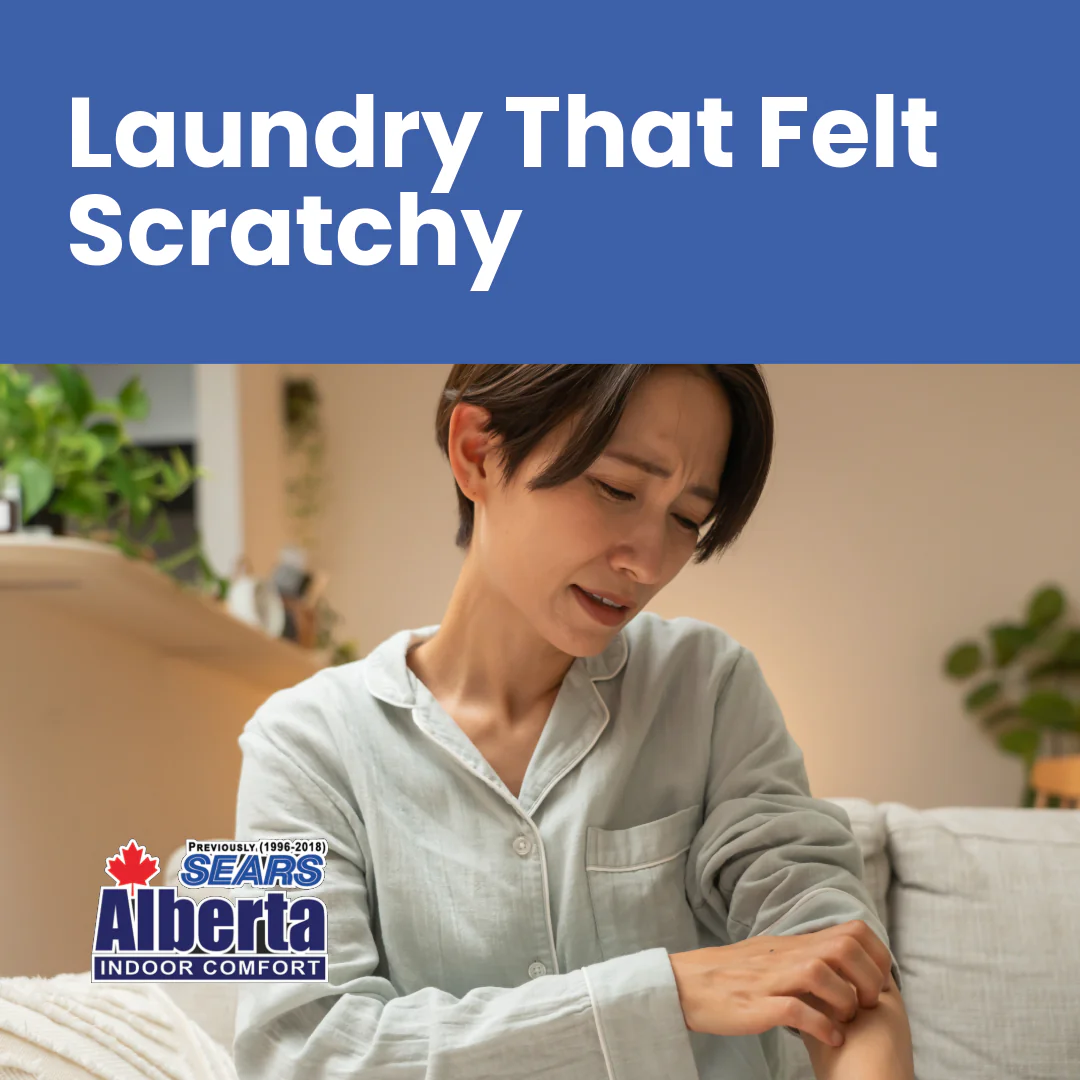 FBIG-WS Laundry That Felt Scratchy