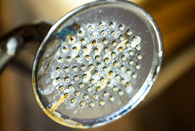 Mineral build-up in pipes and appliances from hard water — Calgary Mineral build-up in pipes and appliances from hard water — Calgary