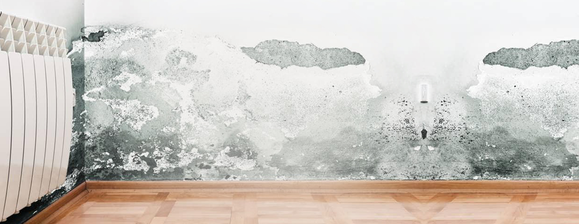 Dehumidifiers