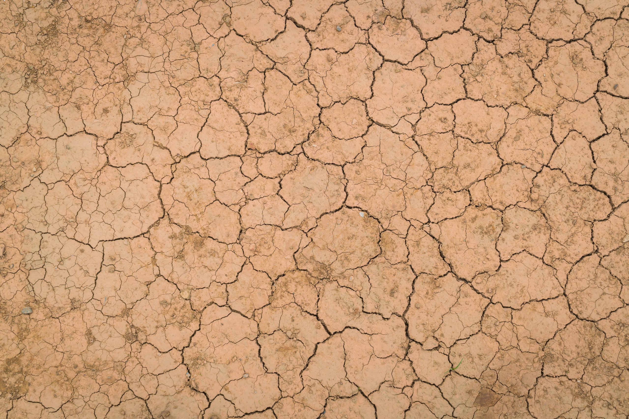 Dry and Cracked Ground Texture illustrating dry skin without humidifier