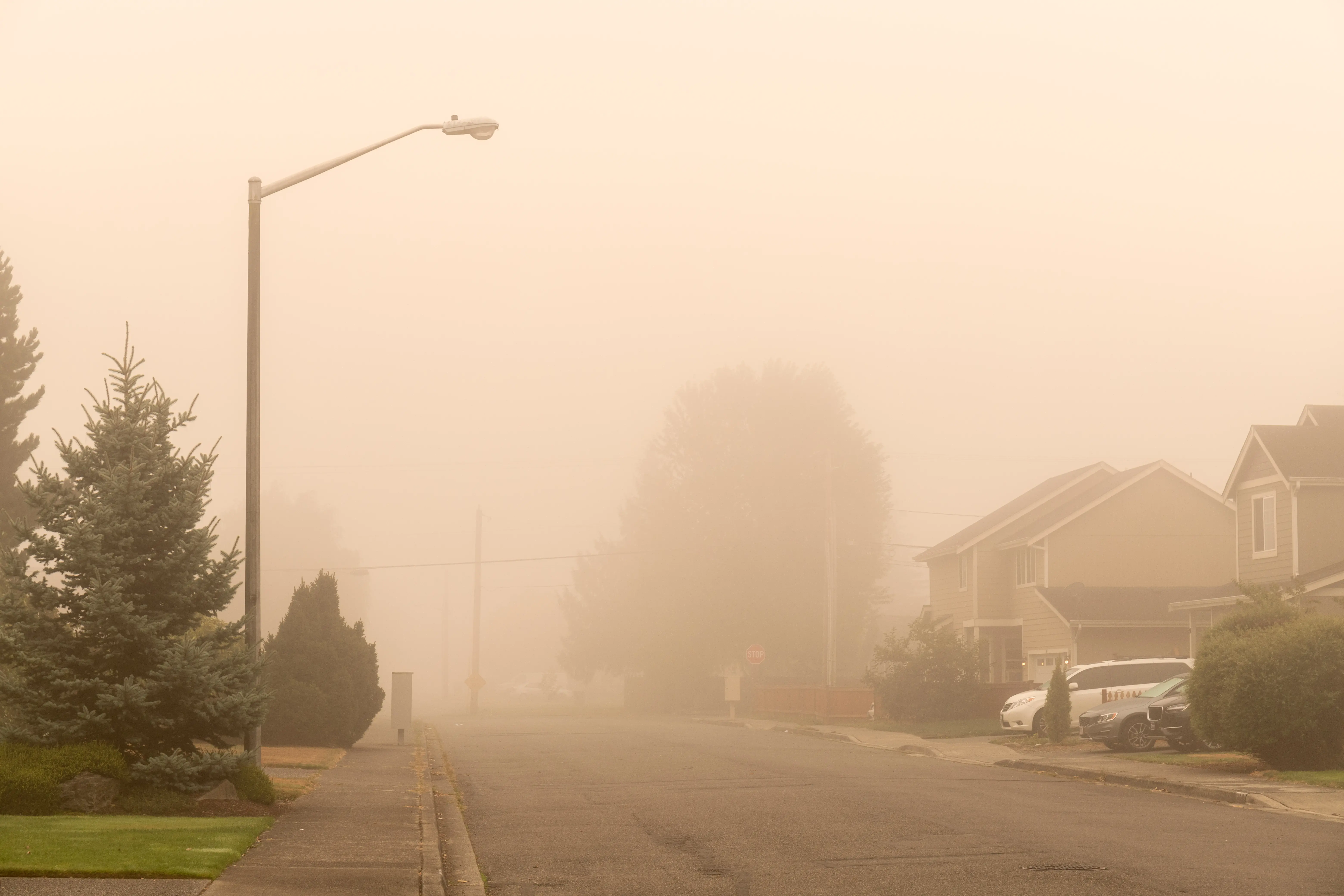 Neighbourhood Engulfed in Smoke From Wildfires in Calgary